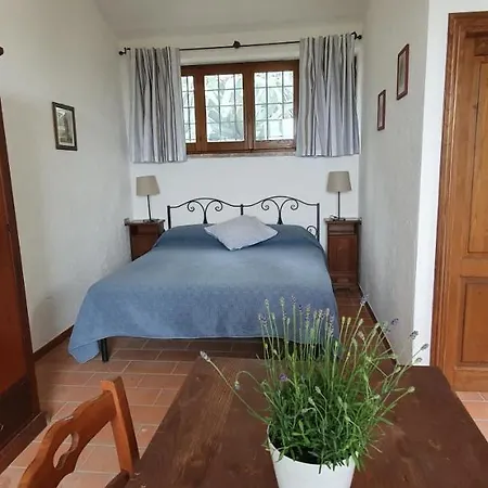 公寓式酒店 Poloturisticoumbria Rustico Con Piscina Vista 特拉西梅诺湖畔帕西尼亚诺